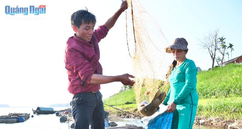 Nuôi loài cá ngon, sạch nổi danh trên sông Trà Khúc, nông dân ở đây mặt ai cũng rạng rỡ vì có thu nhập khá - Ảnh 1.