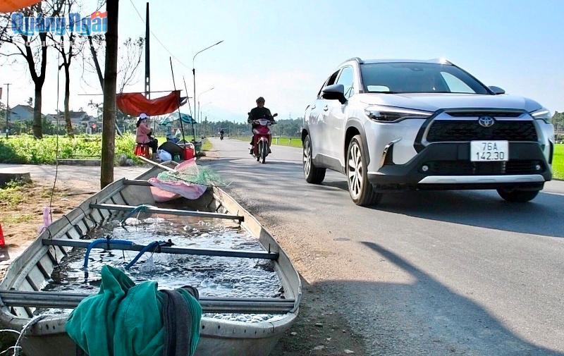 Nuôi loài cá ngon, sạch nổi danh trên sông Trà Khúc, nông dân ở đây mặt ai cũng rạng rỡ vì có thu nhập khá - Ảnh 2.