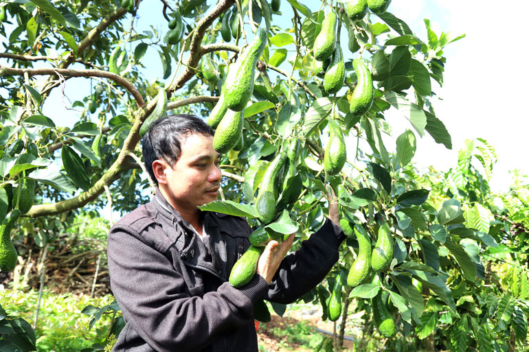 Báo Bà Rịa Vũng Tàu