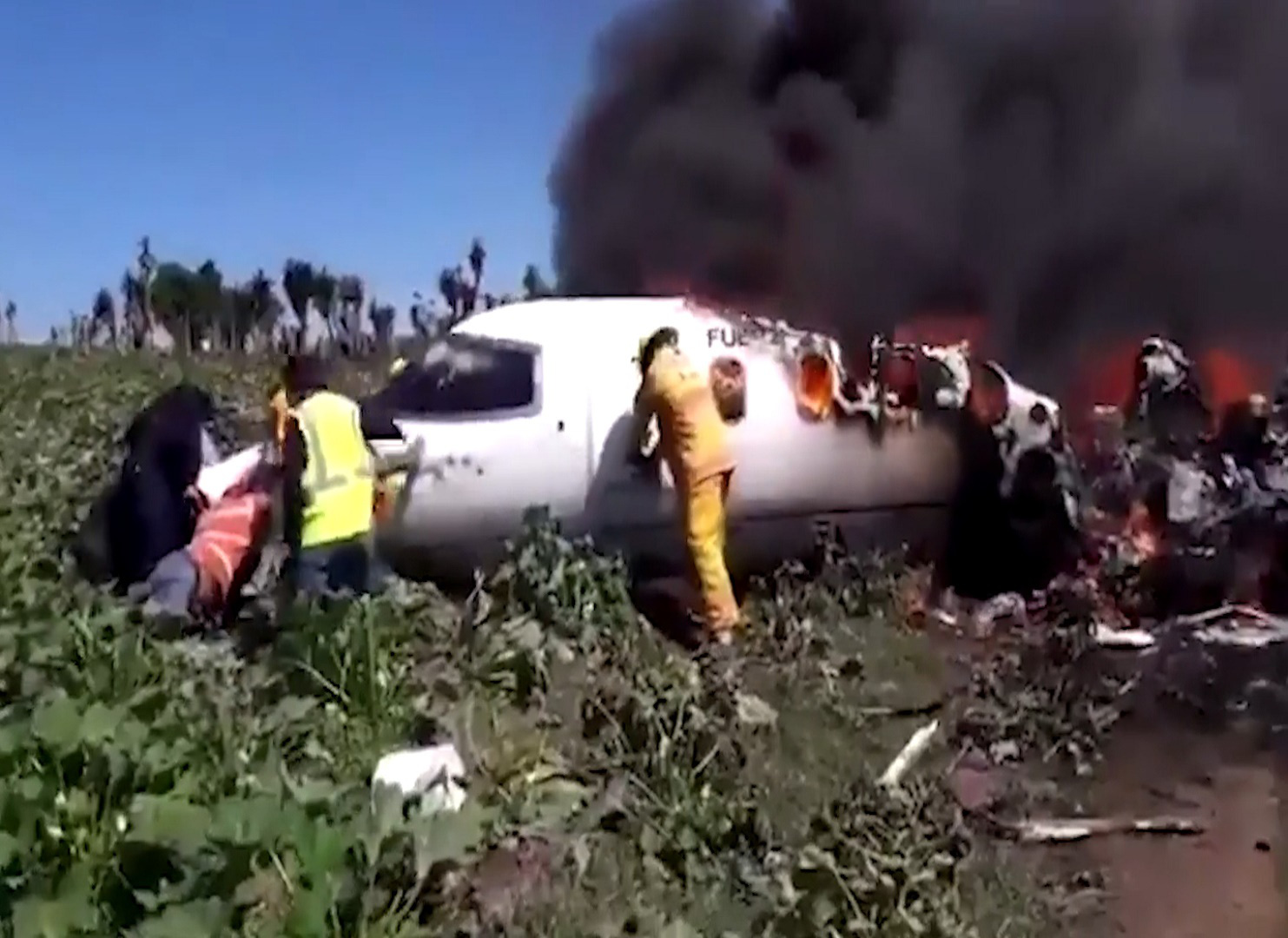 Một máy bay của lực lượng không quân Mexico bị rơi, 6 binh sĩ tử nạn - Ảnh 3.