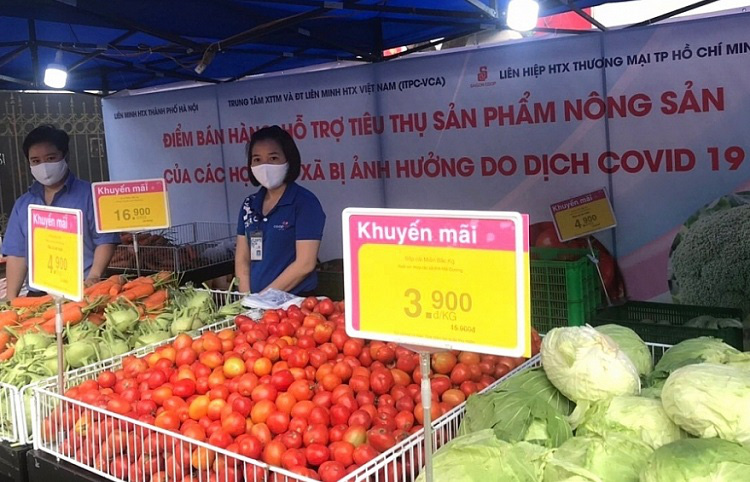 Các hệ thống bán lẻ vào cuộc 'giải cứu' nông sản Hải Dương - Ảnh 1.