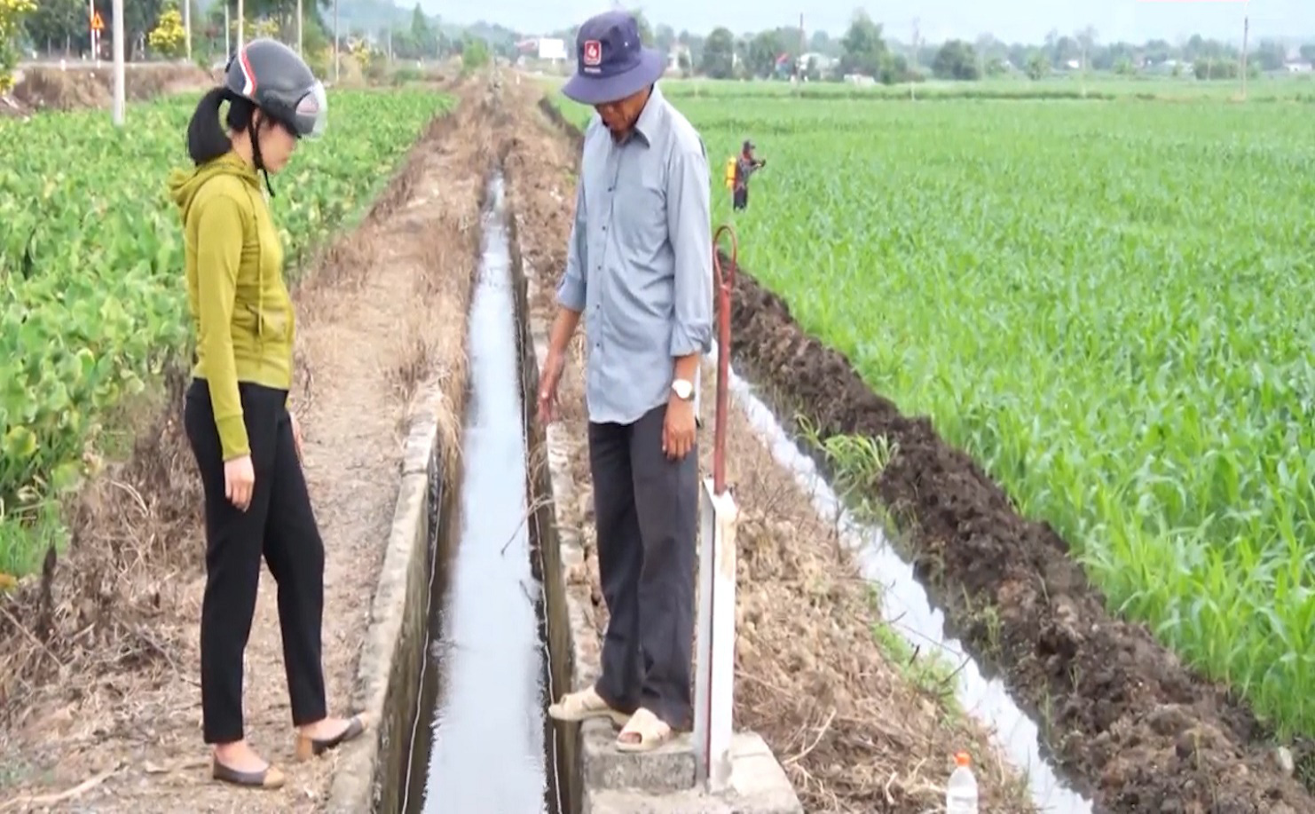 Đồng Nai: Thời tiết cực kỳ thuận lợi, bà con nông dân Xuân Lộc, ai ai cũng đều tích cực ra đồng sản xuất - Ảnh 5.