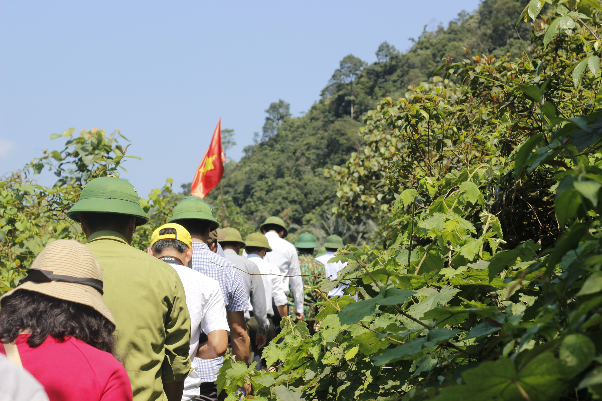 Chiêm ngưỡng những loài thú hoang dã độc lạ ở Khu dự trữ thiên nhiên Động Châu – Khe Nước Trong - Ảnh 6.