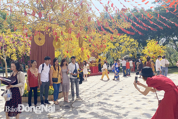 Du lịch Tết Nguyên đán: Quảng Bình, Hà Giang, ế ẩm giảm sâu - Ảnh 2.