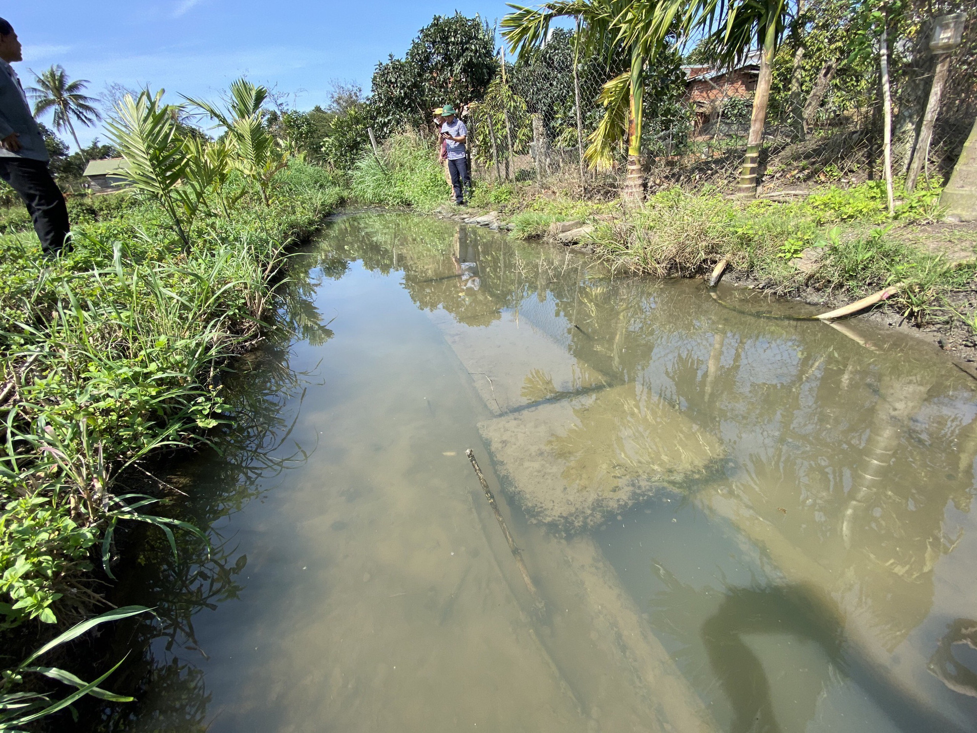 Đắk Lắk: Huyện quyết làm kênh dẫn thấp hơn mặt ruộng rồi… bỏ hoang - Ảnh 1.