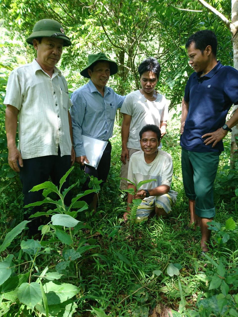 Quảng Nam: Triển khai trồng 80 triệu cây xanh nhằm nâng cao đời sống người dân  - Ảnh 1.