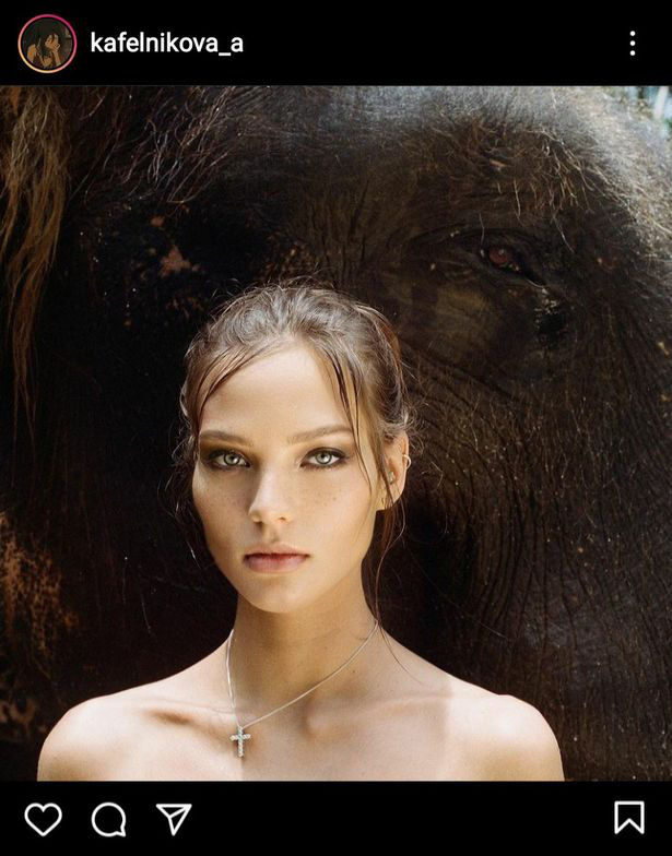 Người mẫu 22 tuổi phải xin lỗi sau khi chụp ảnh khỏa thân cùng với loài voi đang trên bờ vực tuyệt chủng - Ảnh 3.