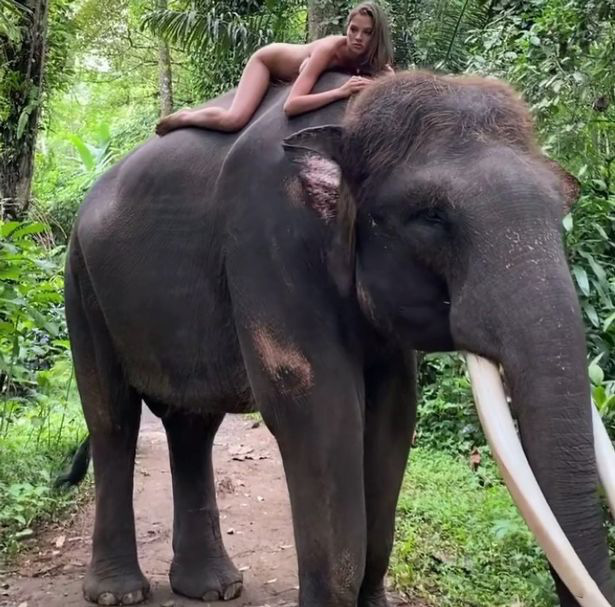 Người mẫu 22 tuổi phải xin lỗi sau khi chụp ảnh khỏa thân cùng với loài voi đang trên bờ vực tuyệt chủng - Ảnh 2.