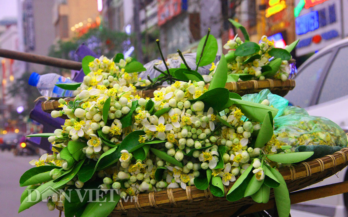 Trước Rằm tháng Giêng, hoa tươi bất ngờ tăng giá sau đợt xuống thấp &quot;kỷ lục&quot; - Ảnh 1.