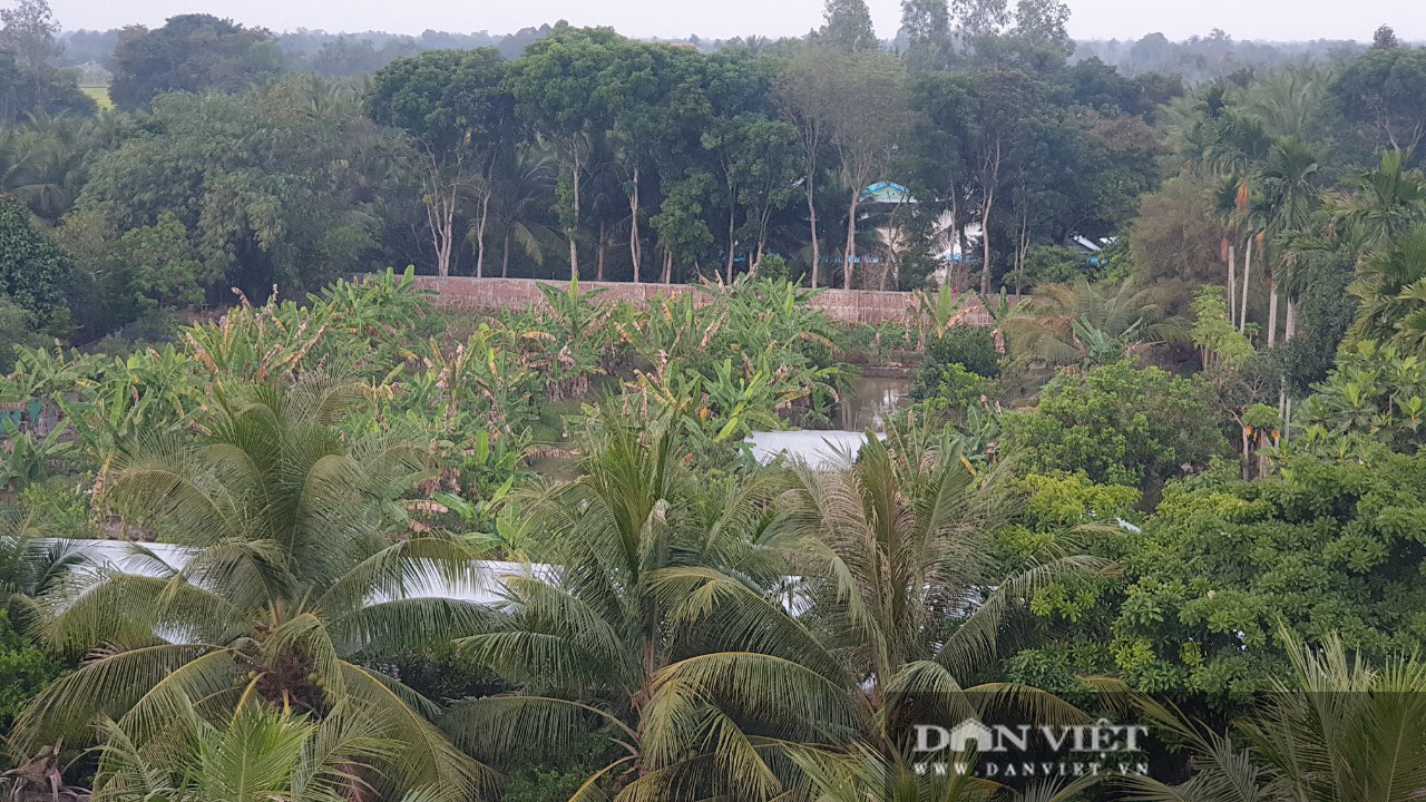 Bất ngờ phía sau quầy bán lươn của một nông dân Vĩnh Long là căn nhà 5 tỷ, thiết kế như chiếc du thuyền - Ảnh 3.