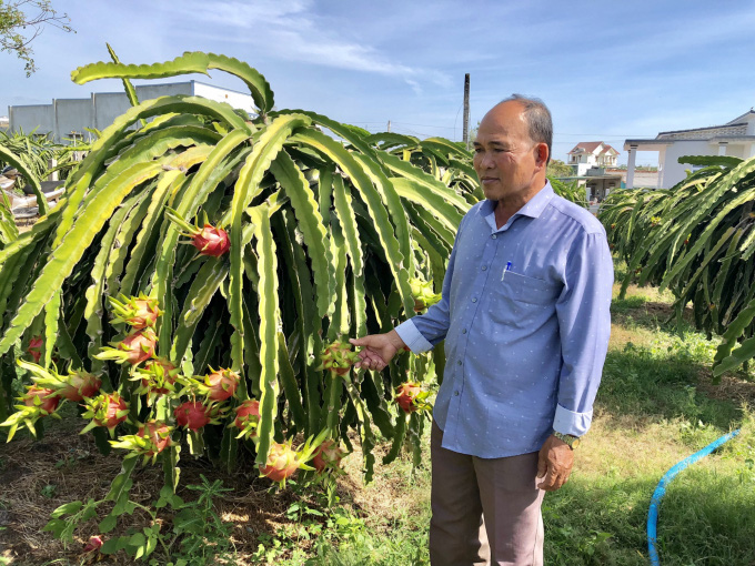 Trung Quốc đặt mua nhiều, giá loại quả nhiều tai, chi chít hạt bất ngờ tăng giá mạnh - Ảnh 1.