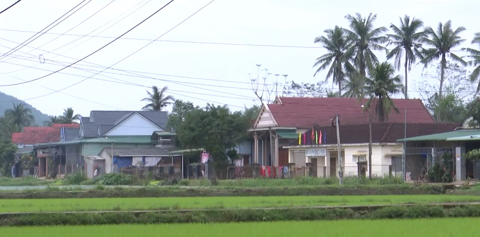 Bình Định: Tinh thần tự lực vươn lên, nhiều hộ dân xin ra khỏi hộ nghèo ở huyện Hoàn Ân - Ảnh 3.