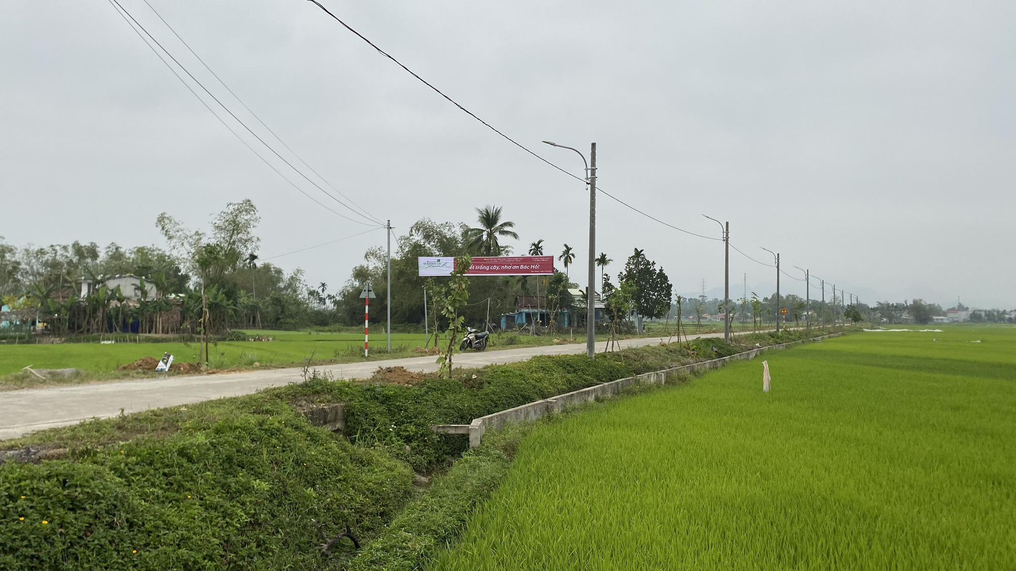 Agribank miền Trung hưởng ứng phong trào &quot;Tết trồng cây đời đời nhớ ơn Bác Hồ” năm 2021 - Ảnh 8.