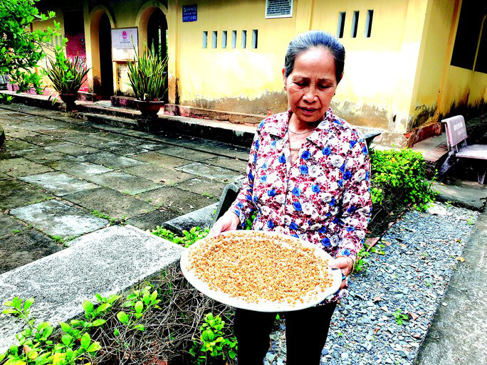 Vì sao bạch mai cổ thụ 300 tuổi có một không hai ở Bến Tre được người dân gọi là &quot;thần mai&quot;? - Ảnh 4.