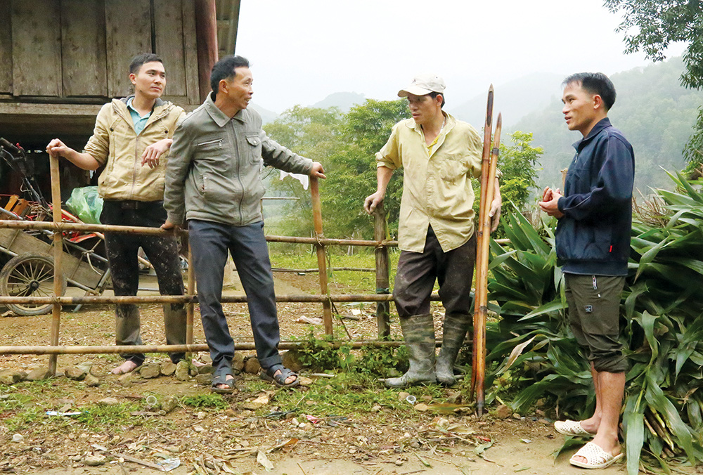 Chôn &quot;kho báu&quot; hơn 20 tỷ ở trên đồi, ông nông dân tỉnh Phú Thọ mới &quot;đào&quot; 1 phần đã đủ 2 &quot;biệt phủ&quot; - Ảnh 5.