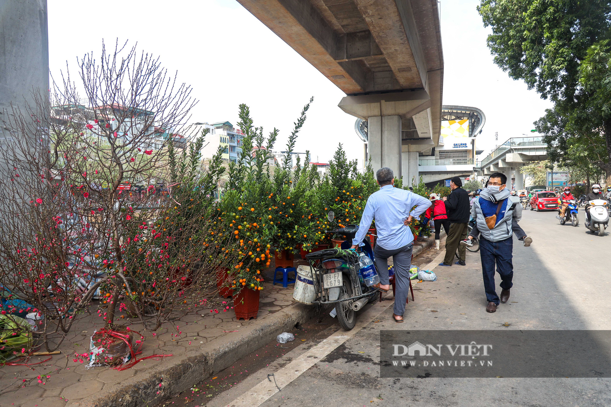 Ga đường sắt Cát Linh - Hà Đông hóa chợ cây Tết trước ngày hoạt động - Ảnh 1.