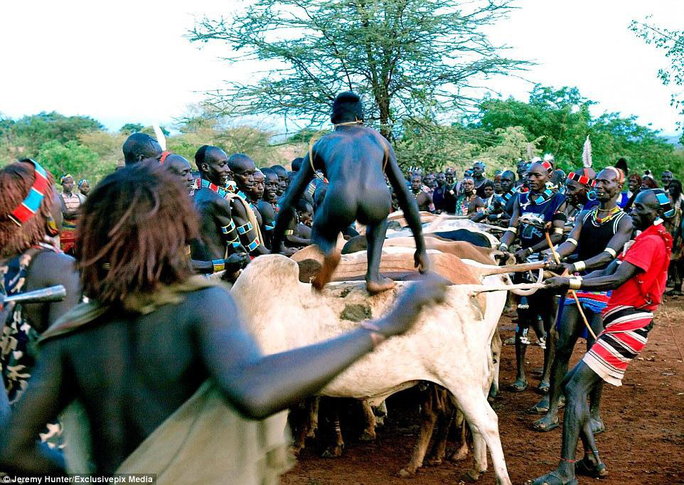 Lạ lùng bộ tộc đàn ông phải khỏa thân nhảy qua lưng bò để... lấy được vợ - Ảnh 3.