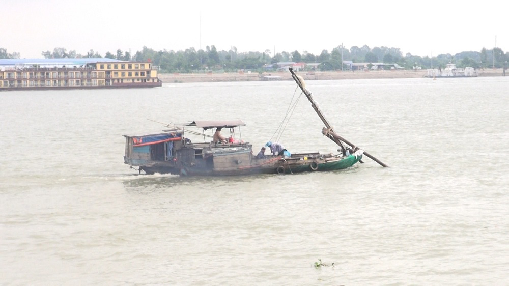 An Giang: Bắt cá linh trên sông Tiền, bất ngờ lại bắt được cả loài cá có cái tên mắc cười, to cồ cộ - Ảnh 1.