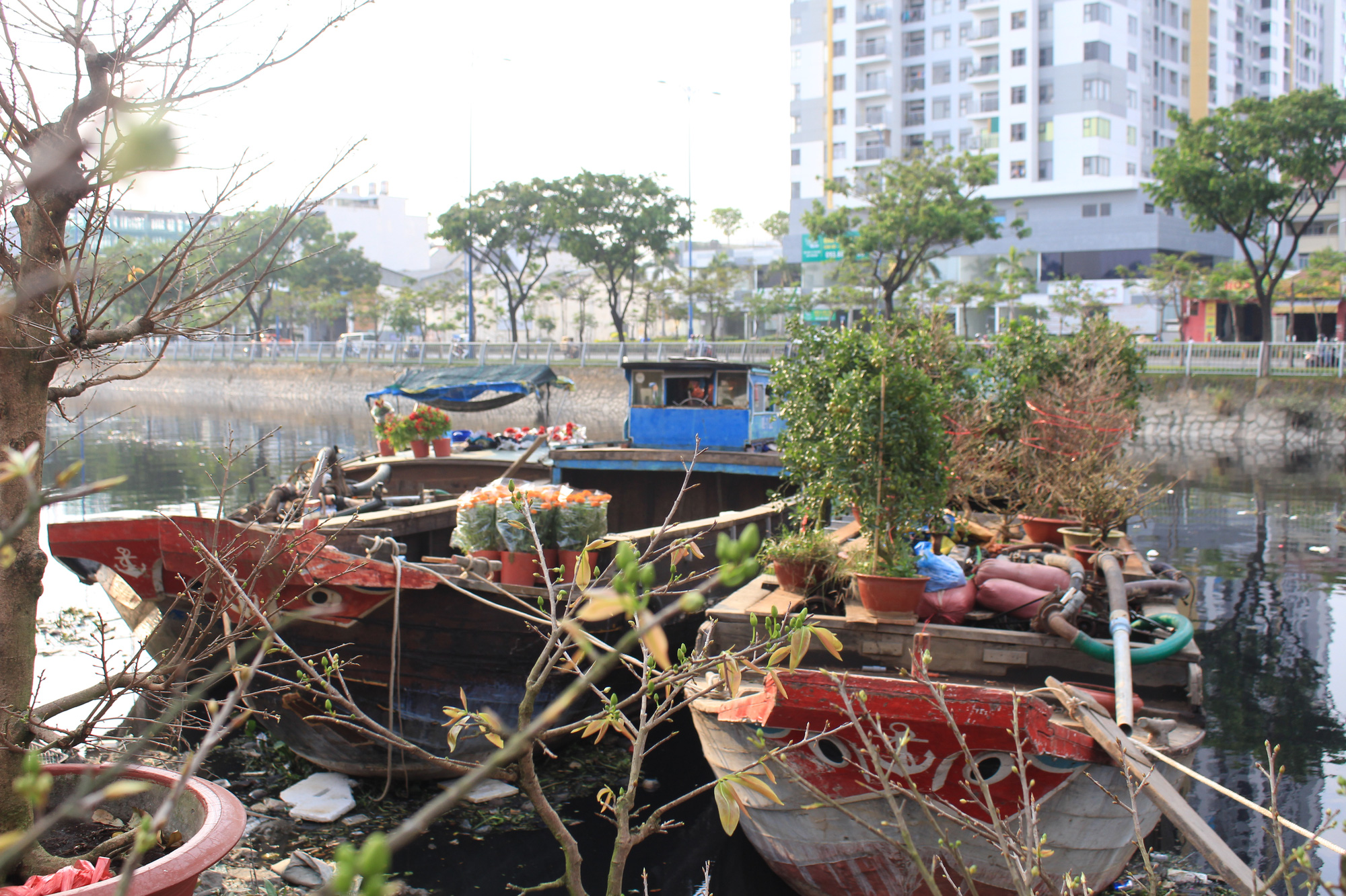 ẢNH: Ghe hoa cập bến Bình Đông, chợ Tết “trên bến dưới thuyền” ngập tràn sắc xuân - Ảnh 4.