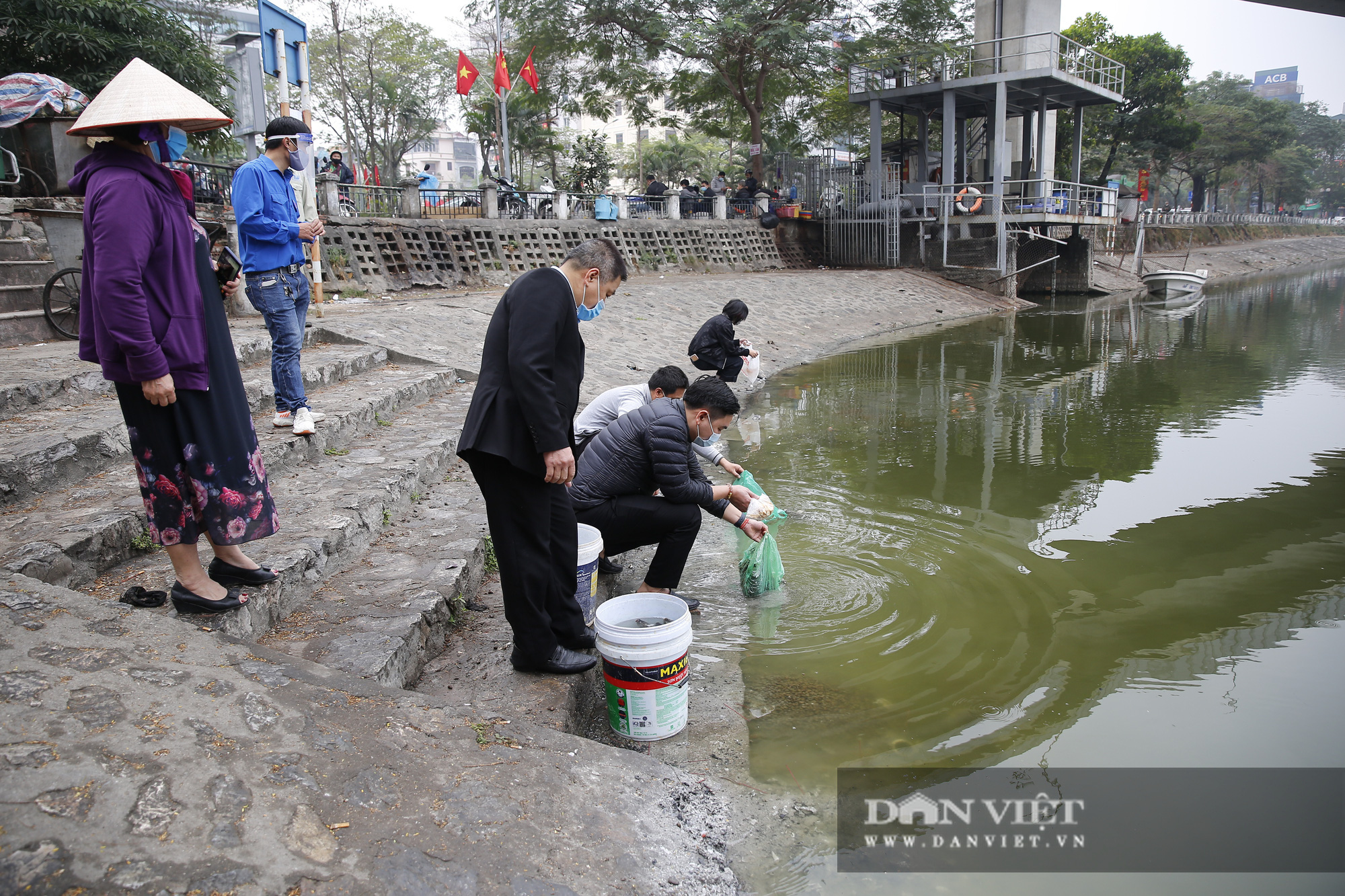 Hà Nội: Phương tiện đưa ông Công ông Táo về trời vừa thả đã chết  - Ảnh 2.