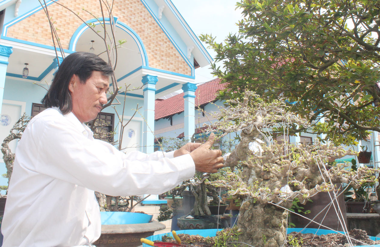 Long An: Chơi cây kiểng độc lạ, hình thù kỳ dị mà hái ra tiền tỷ - Ảnh 2.