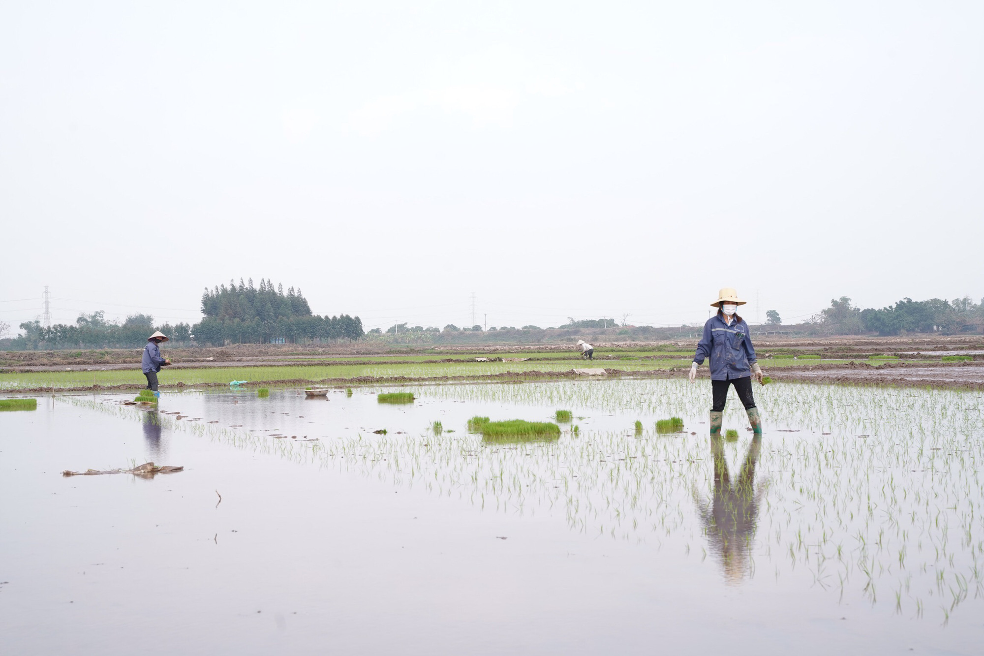 Tình làng trong tâm dịch Chí Linh - Ảnh 9.