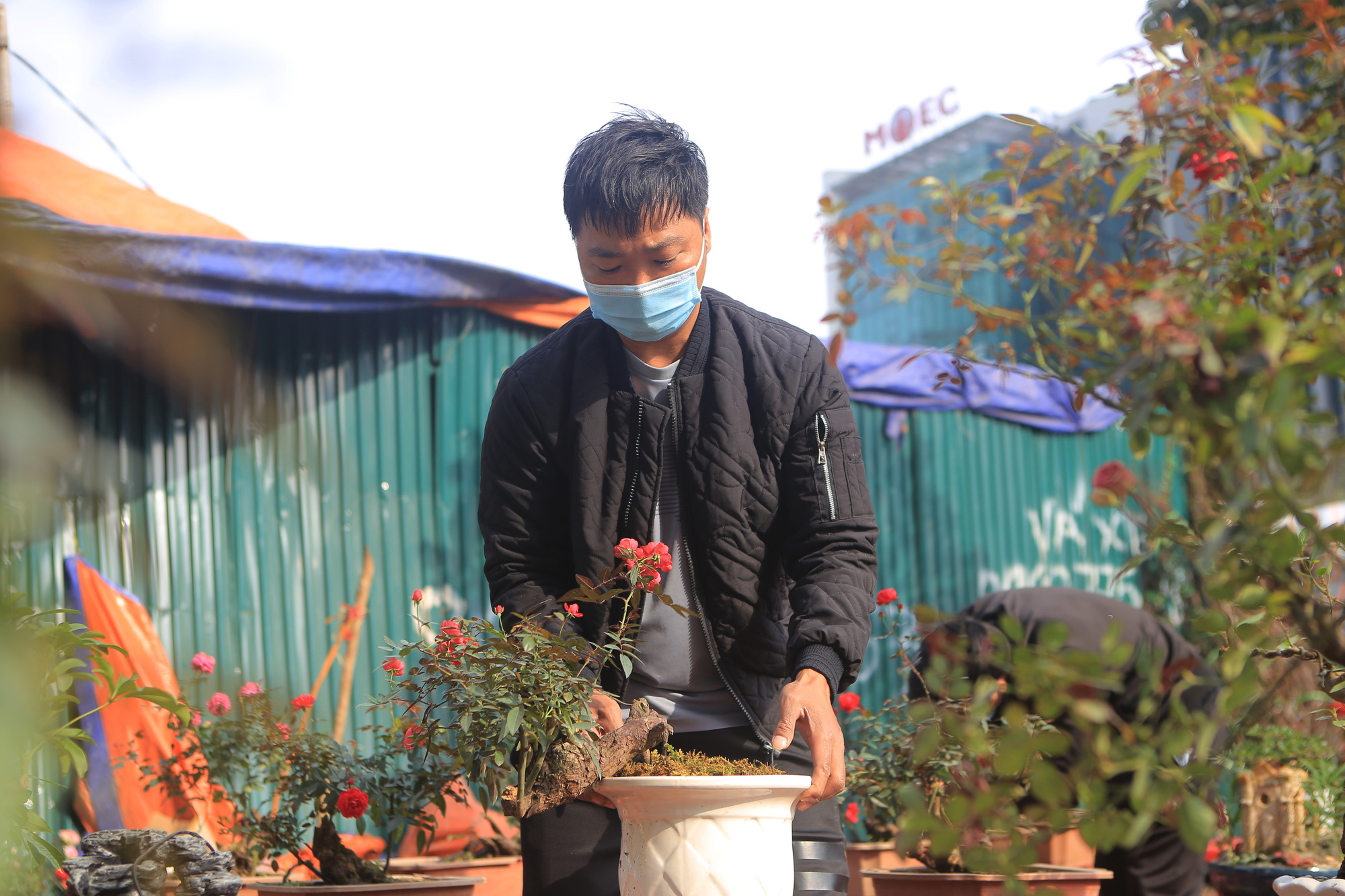 Quất, đào treo biển đồng giá, “sale sập sàn” ngày cận Tết vẫn vắng bóng người mua: &quot;Dịch Covid-19 nên kinh doanh ế ẩm lắm&quot; - Ảnh 8.