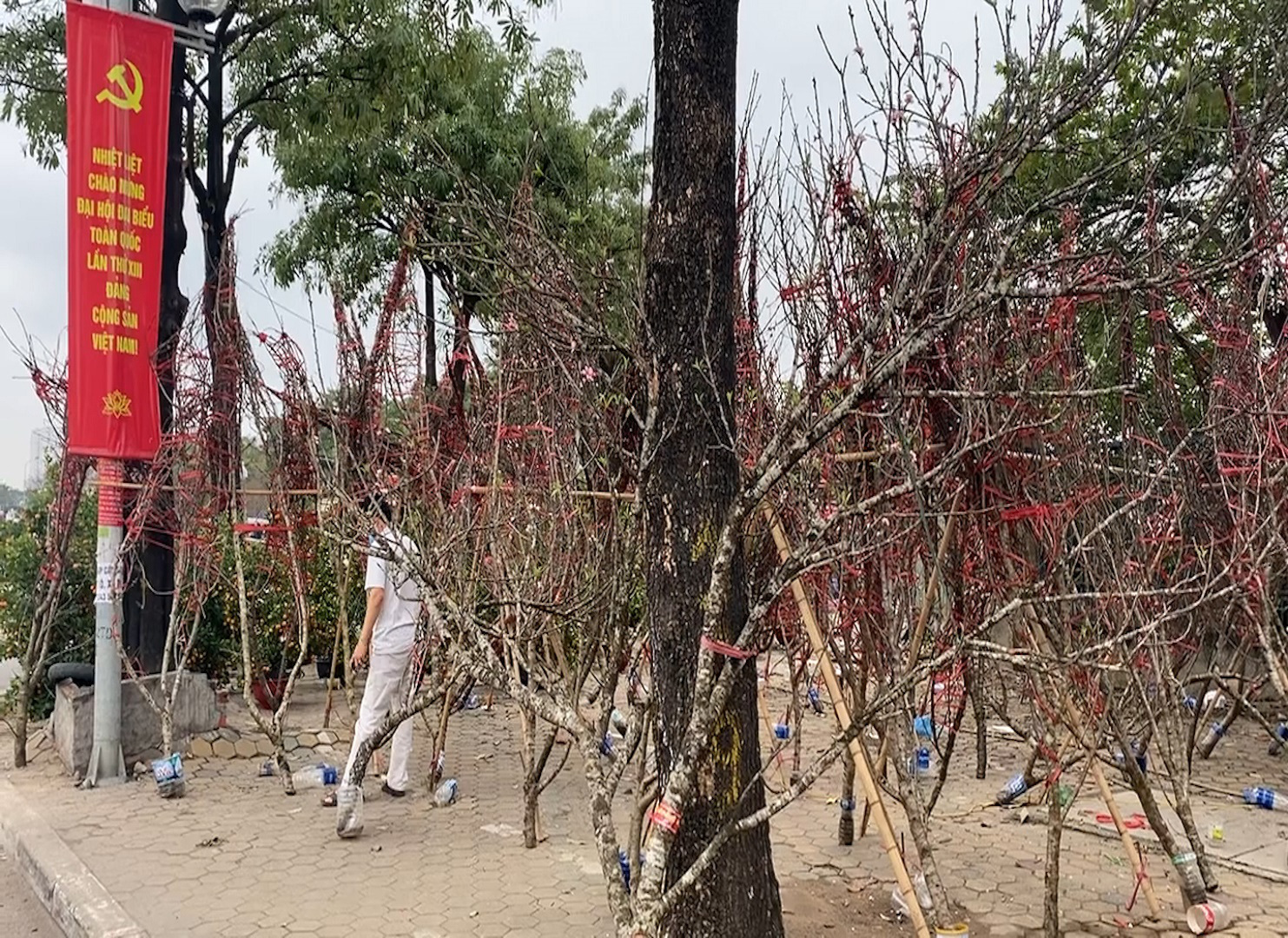 Như &quot;ngồi trên đống lửa&quot;, tiểu thương bán đào, quất tìm cách &quot;đẩy hàng&quot; - Ảnh 3.