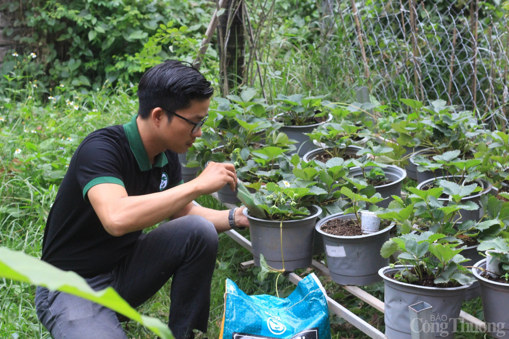 Gom rác thải làm đất sạch để xuất khẩu - Ảnh 1.