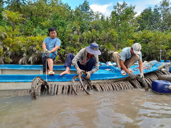 Cà Mau: Dùng lốp xe đạp cũ &quot;dụ&quot; giống hàu to bự, ông nông dân này giàu lên, đến vỏ hàu cũng bán được - Ảnh 1.