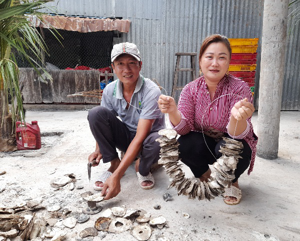 Cà Mau: Dùng lốp xe đạp cũ &quot;dụ&quot; giống hàu to bự, ông nông dân này giàu lên, đến vỏ hàu cũng bán được - Ảnh 3.