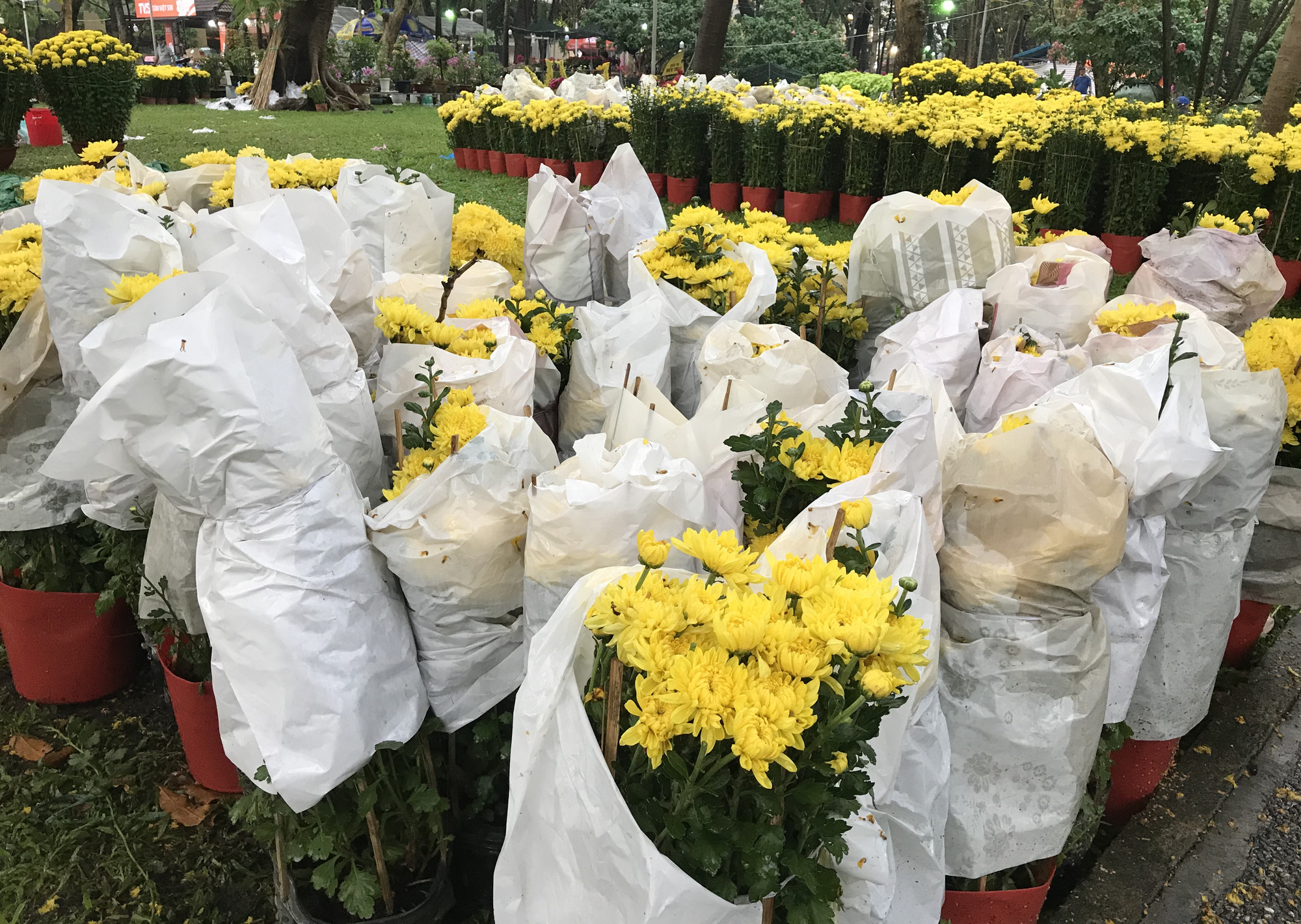 TP.HCM mưa lớn chiều 27 Tết, người bán hoa nháo nhào, đã lo càng thêm lo - Ảnh 9.