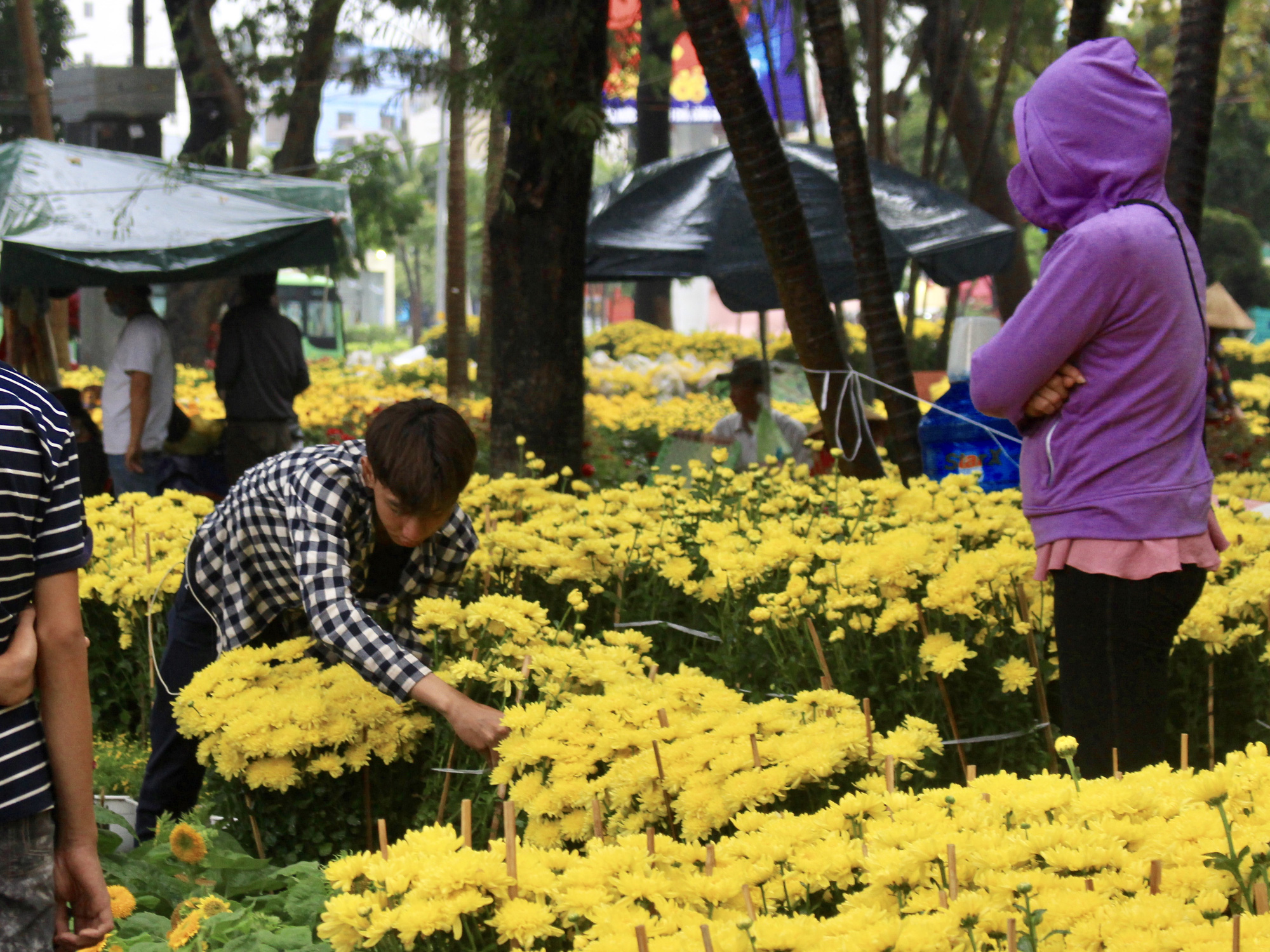 TP.HCM mưa lớn chiều 27 Tết, người bán hoa nháo nhào, đã lo càng thêm lo - Ảnh 2.