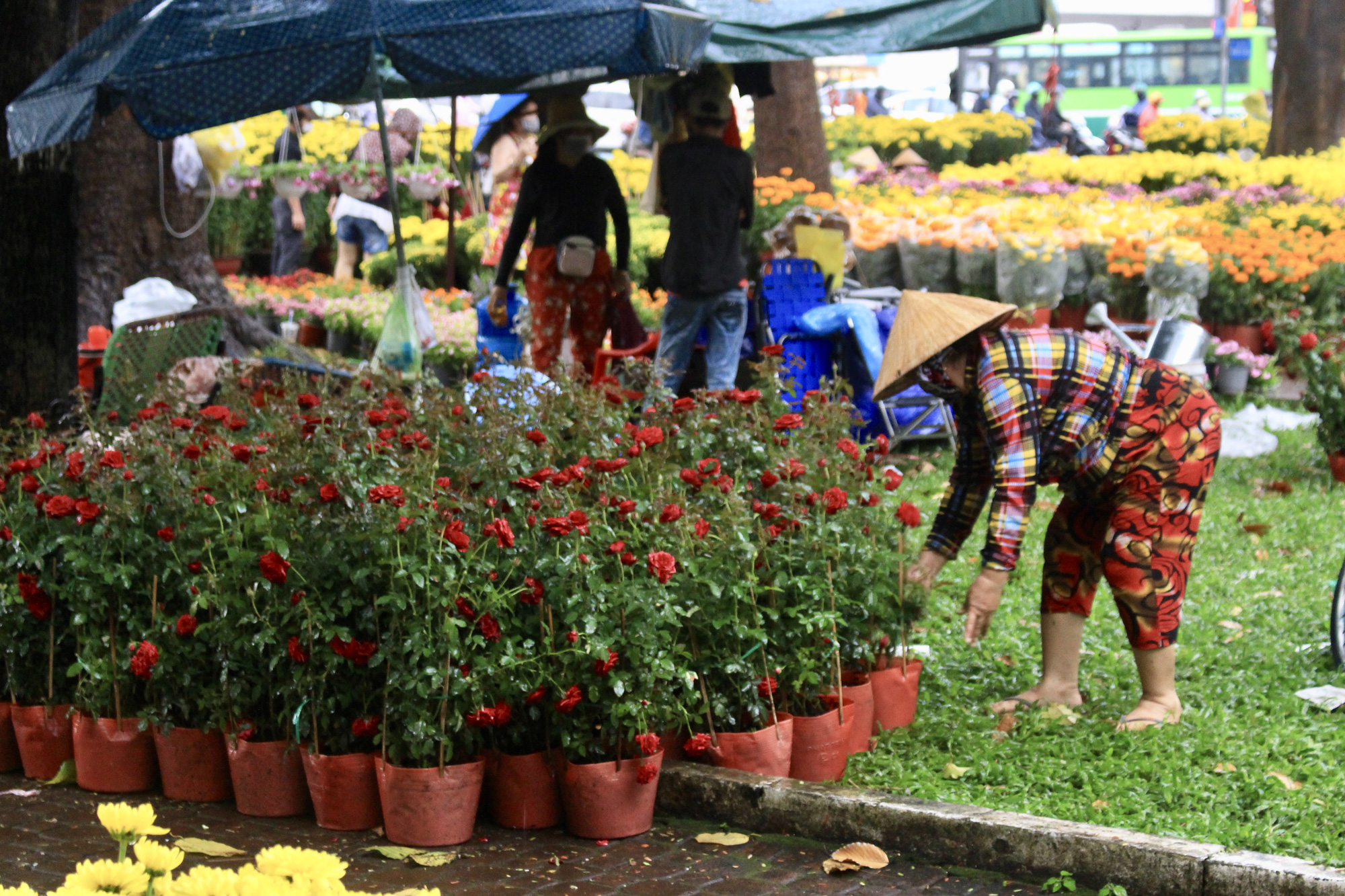 TP.HCM mưa lớn chiều 27 Tết, người bán hoa nháo nhào, đã lo càng thêm lo - Ảnh 6.