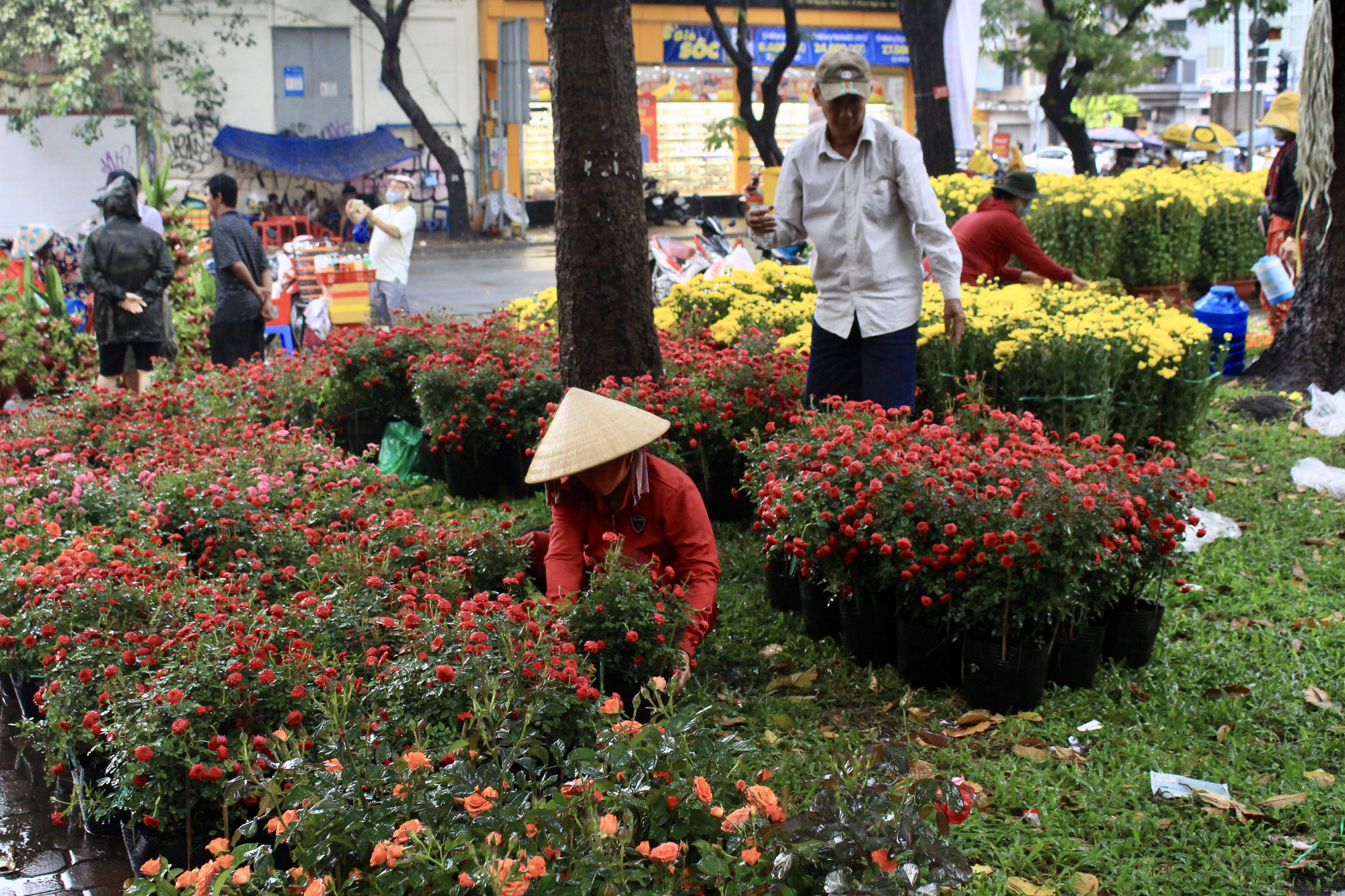 TP.HCM mưa lớn chiều 27 Tết, người bán hoa nháo nhào, đã lo càng thêm lo - Ảnh 7.