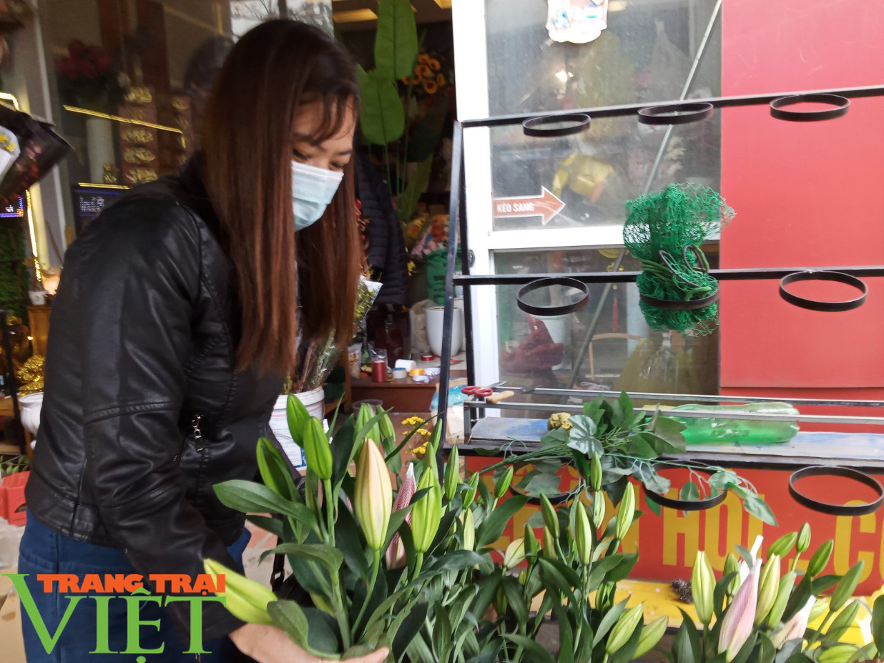 Sôi động thị trường hoa, cây cảnh dịp Tết ở Phù Yên - Ảnh 3.