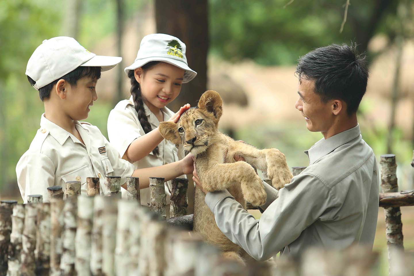 Mê mẩn ngắm sư tử con, hổ... tại vườn thú bán hoang dã Phú Quốc