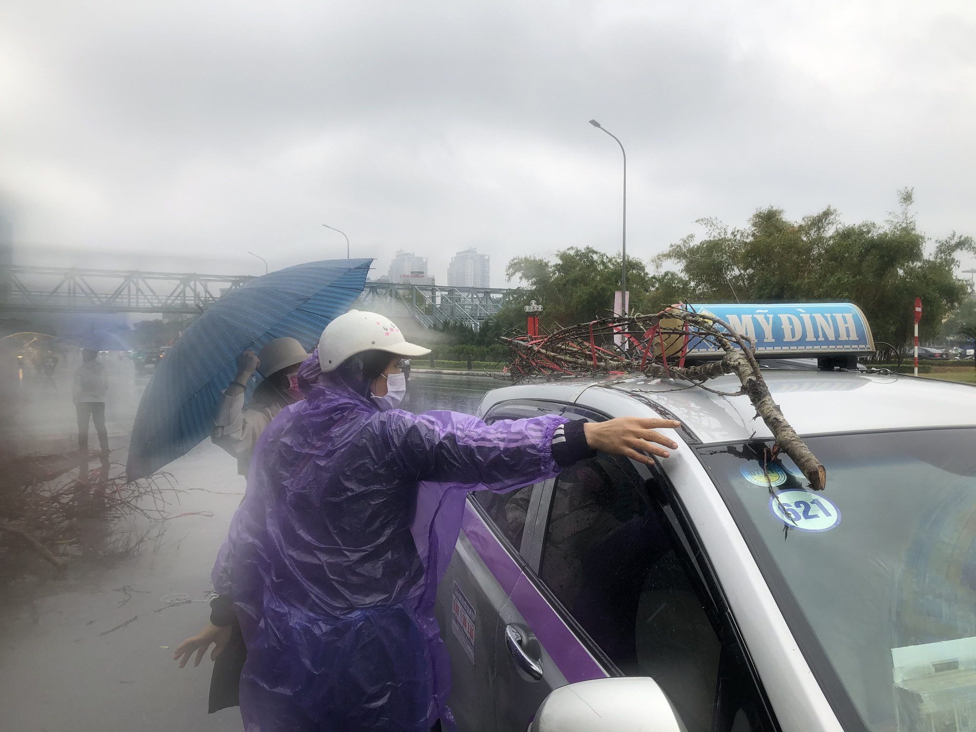 Hàng trăm gốc quất Tết bị mưa lớn quật đổ ngày, tiểu thương nghẹn ngào xót xa - Ảnh 10.