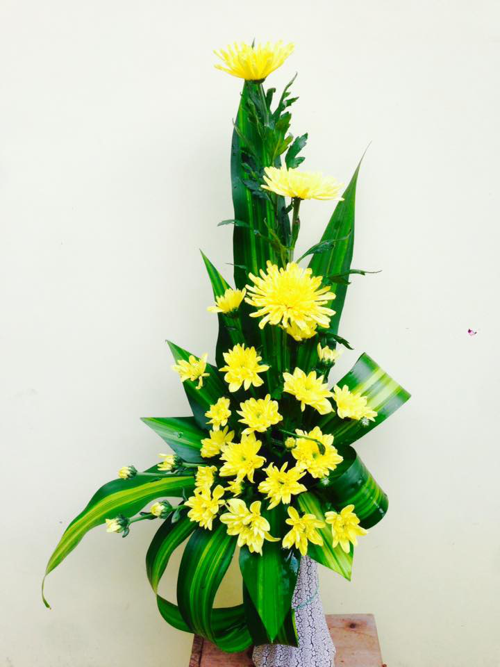 Top 87+ cắm hoa cúc cúng siêu đỉnh - trieuson5
