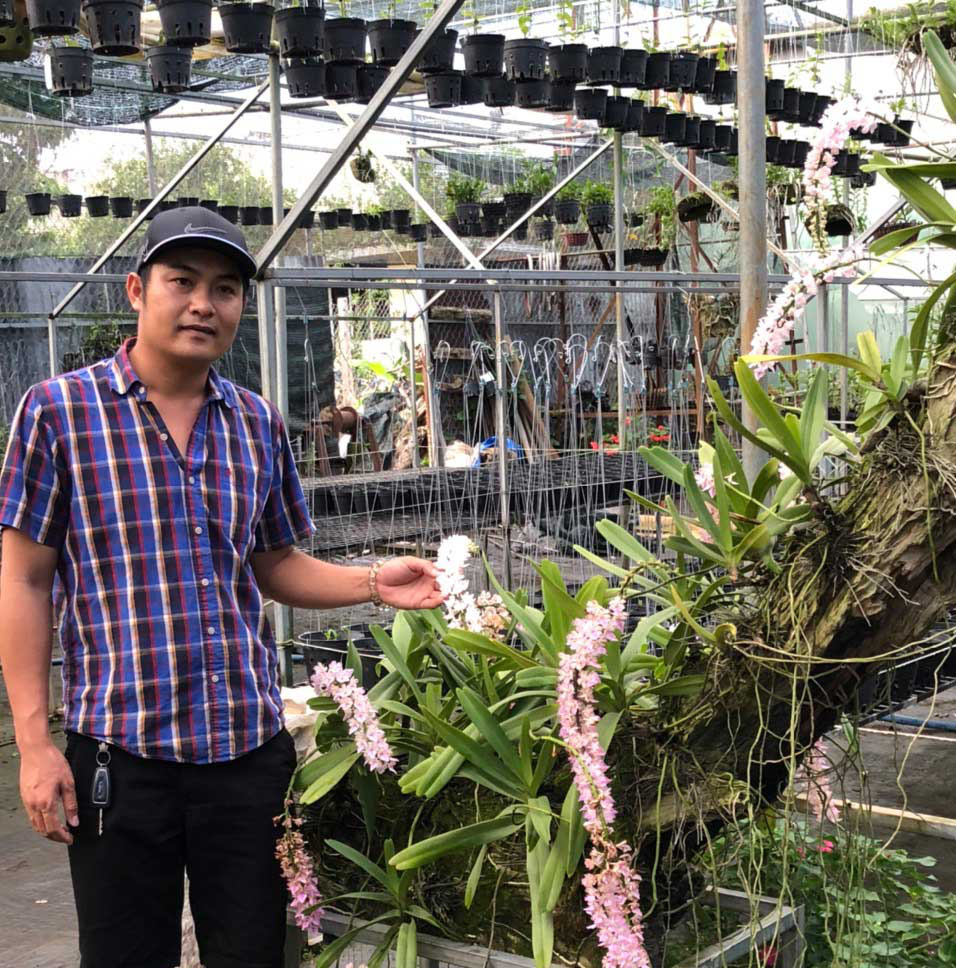 Vườn lan Khánh Nguyễn – Hoa lan rừng ngày càng được yêu thích và ưa chuộng - Ảnh 2.