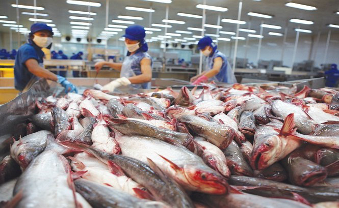Xuất khẩu thủy sản của Việt Nam có thể đạt 14 – 16 tỷ USD vào năm 2030 - Ảnh 1.