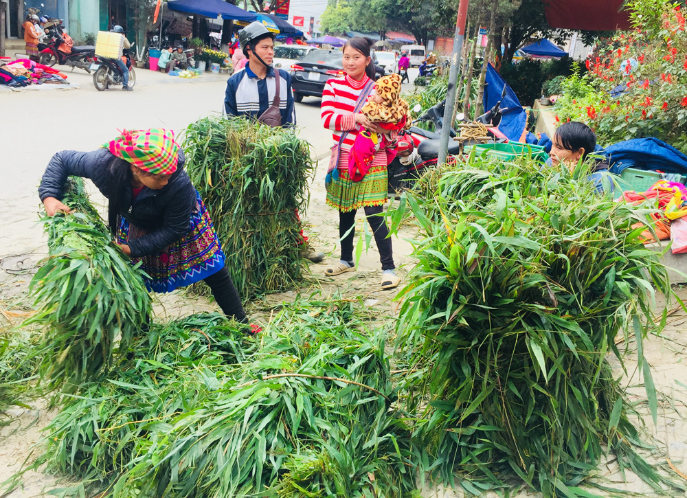 Lào Cai: Trần gian có một thứ nghề...bán cỏ cho nông dân đi chợ &quot;sắm tết cho trâu&quot; - Ảnh 1.