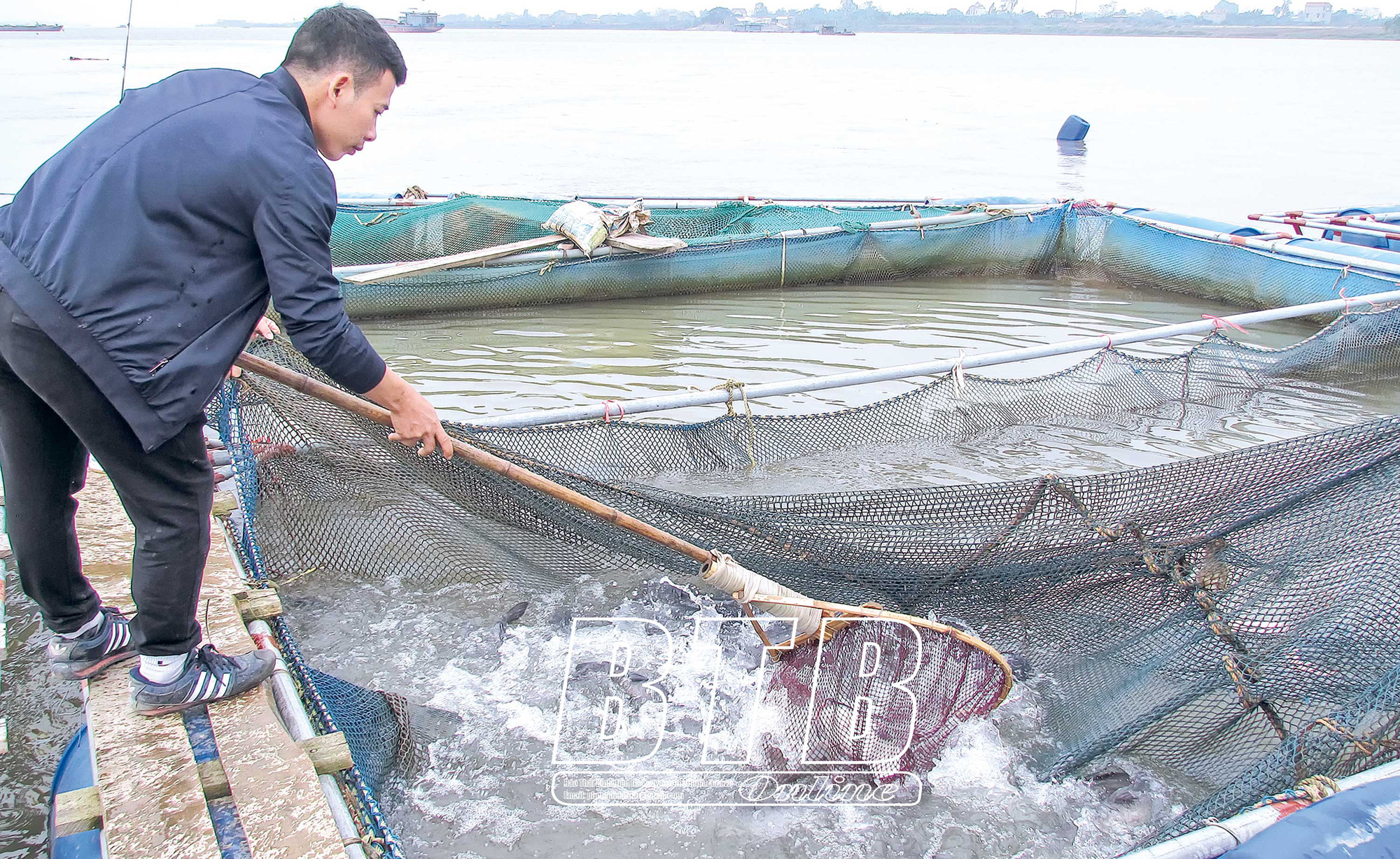 Thái Bình: &quot;Vớt bạc&quot; trên sông là nghề gì mà cuối năm dân kéo lưới lên là có tiền to? - Ảnh 5.