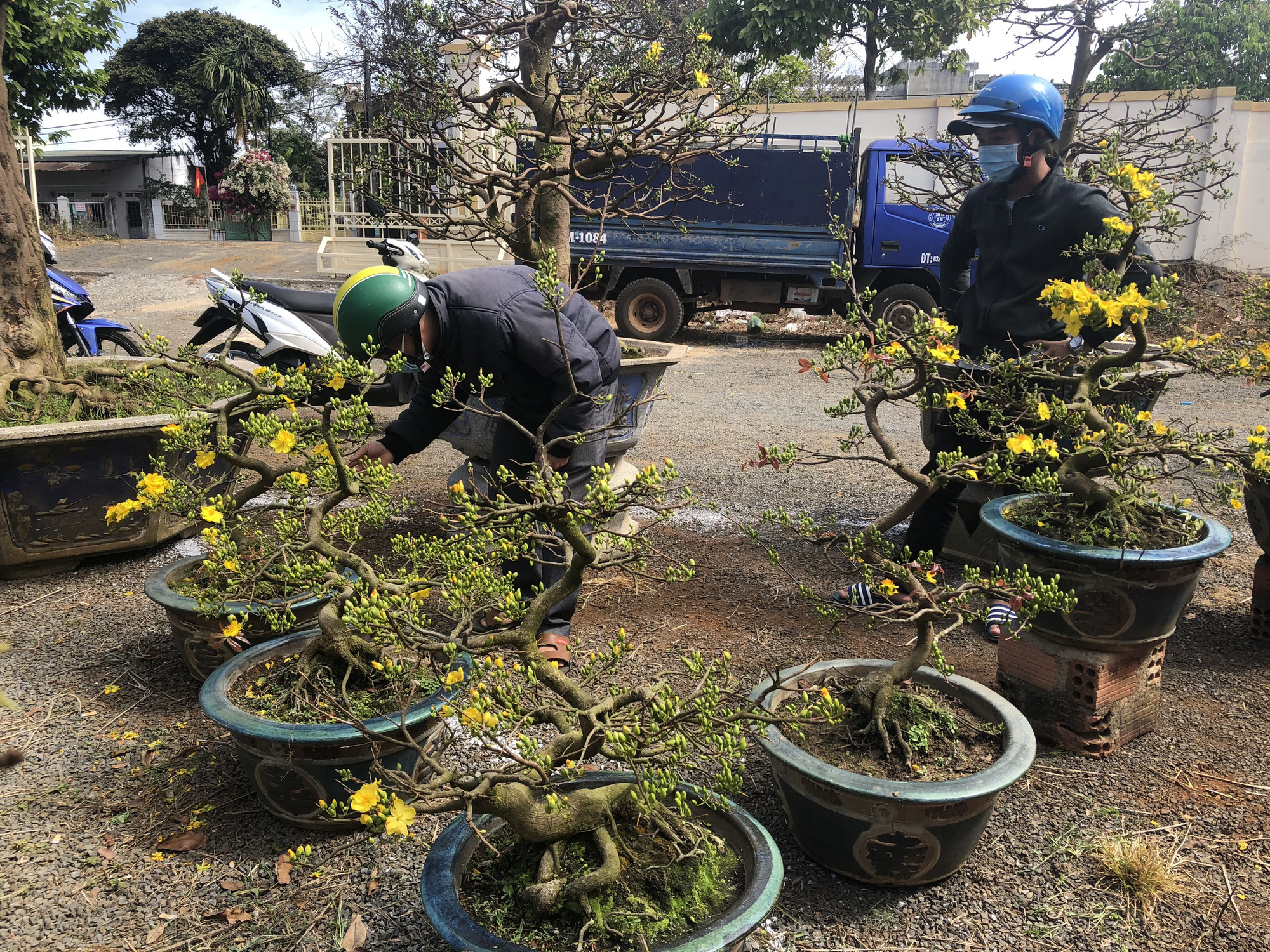 29 tết mới bán được lác đác mấy chậu hoa, nông dân ứa nước mắt vì các loại chi phí - Ảnh 4.