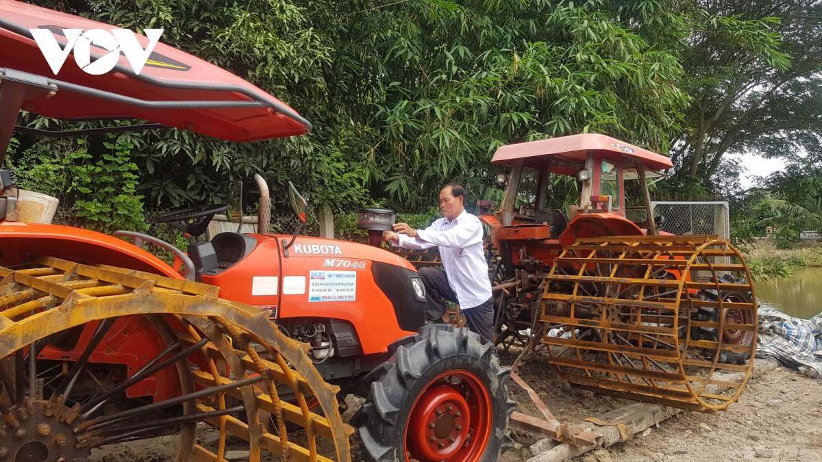 Lão nông ở Long An làm giàu từ cây lúa trên đất phèn - Ảnh 2.