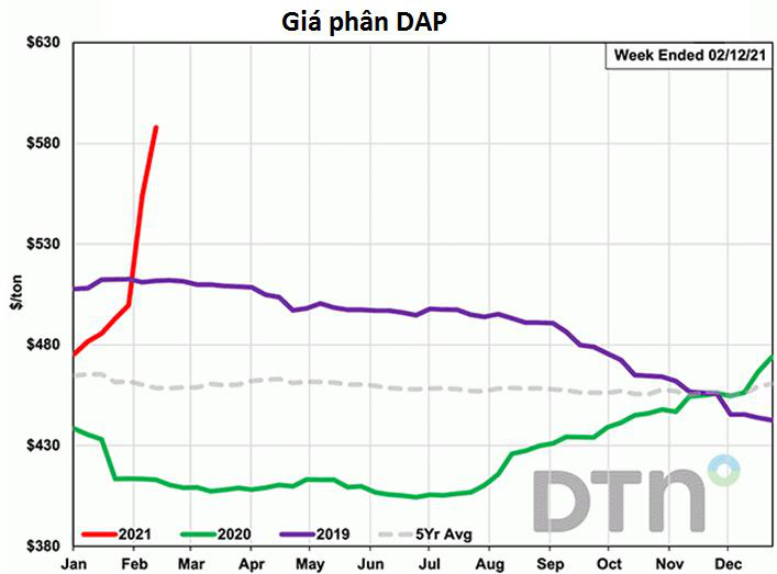 Giá phân bón thế giới tiếp tục tăng sốc ngay đầu năm - Ảnh 2.