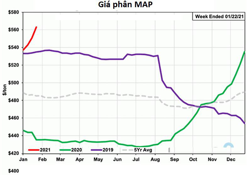 Giá phân bón thế giới tiếp tục tăng sốc ngay đầu năm - Ảnh 4.