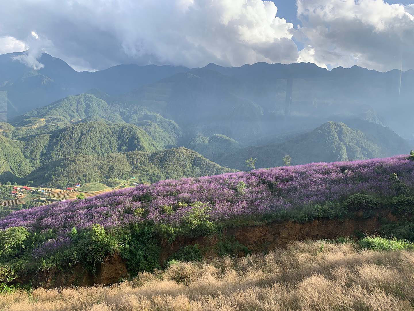 Kinh nghiệm du lịch Sapa mùa hè 2021 - Ảnh 4.