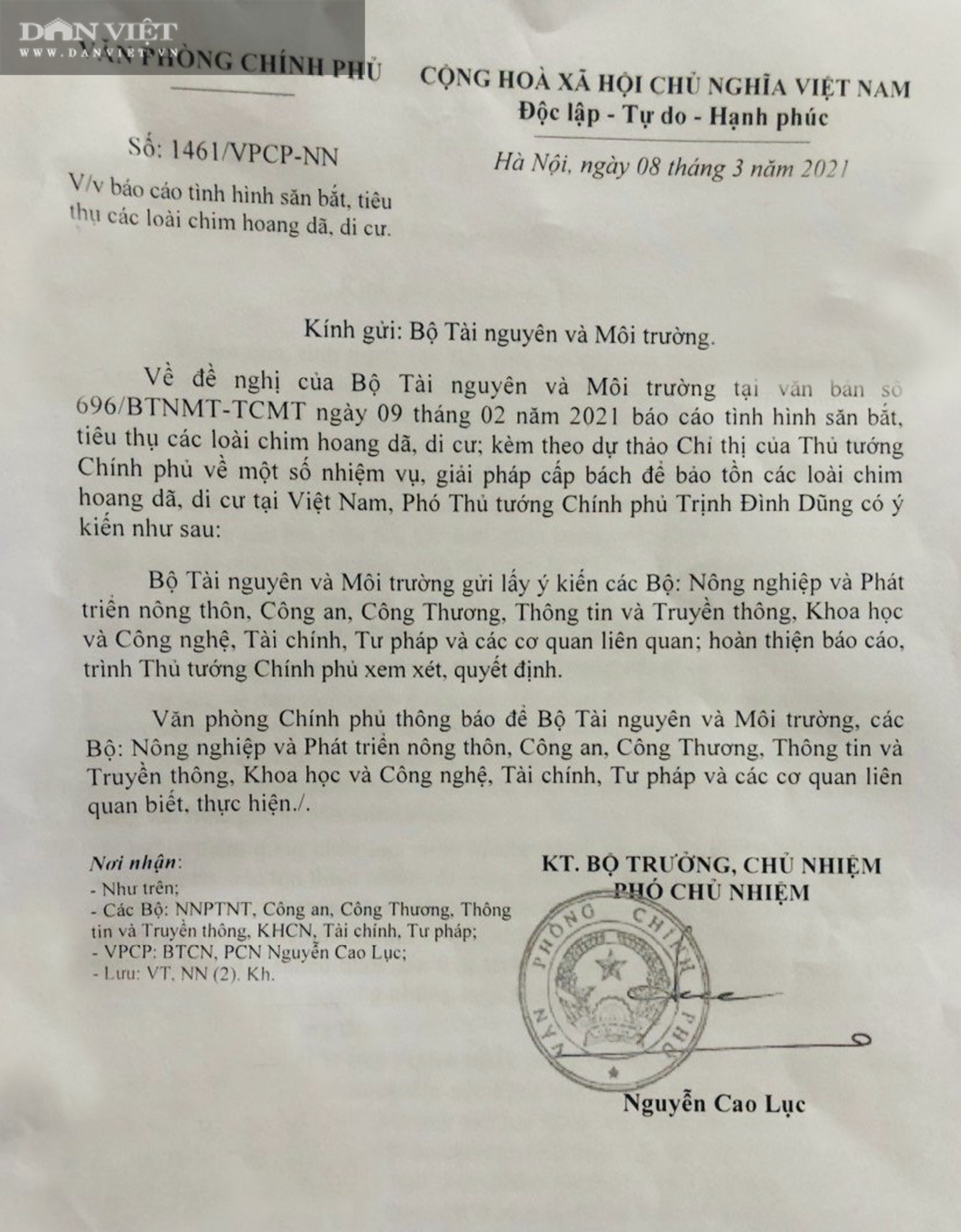 Văn phòng Chính phủ có ý kiến về giải pháp bảo tồn các loài chim hoang dã, di cư tại Việt Nam - Ảnh 2.