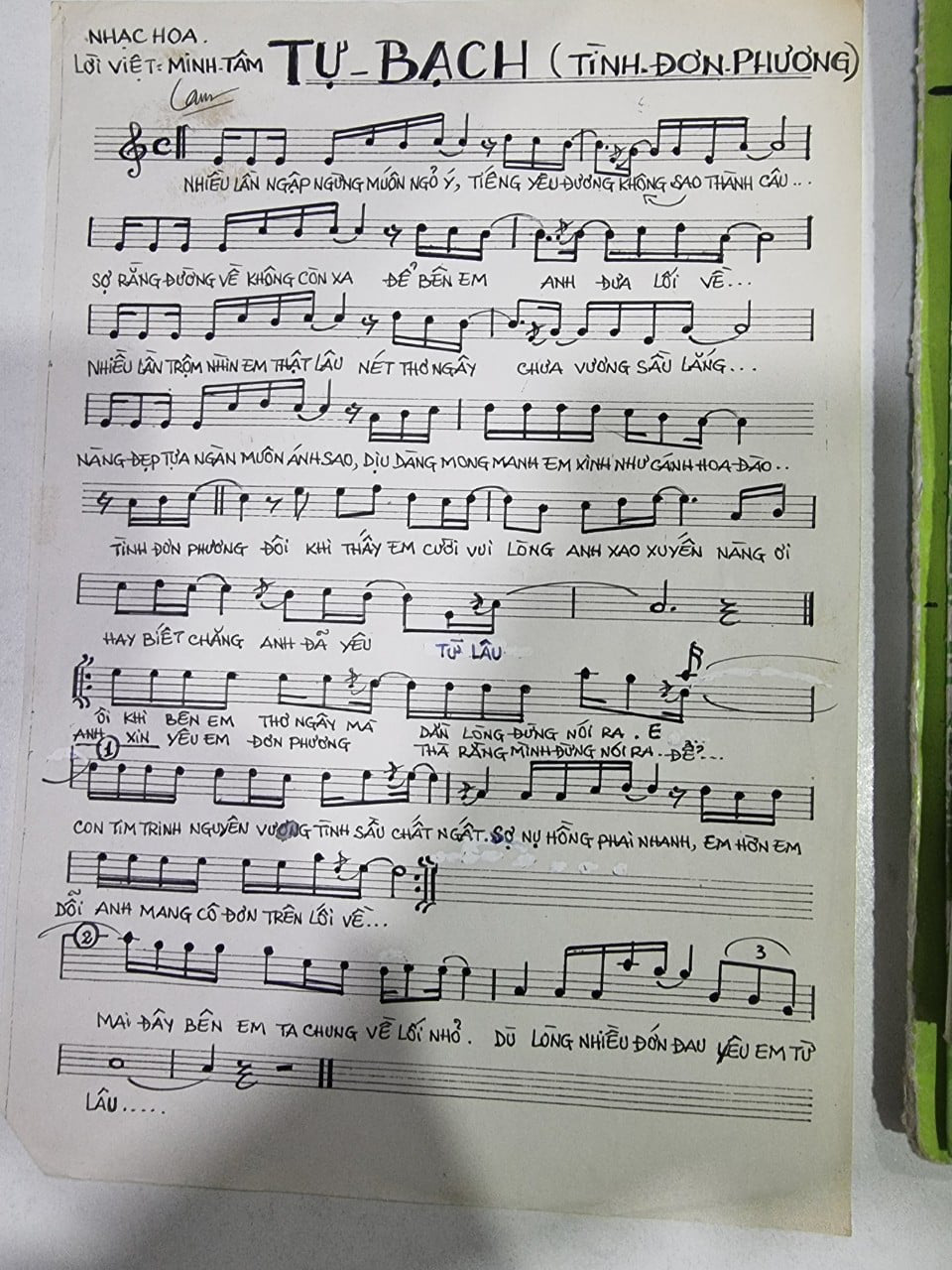 Bản nhạc do nhạc sĩ Minh Tâm viết lời Việt lúc đầu có tên &quot;Tự bạch&quot;, sau đổi thành &quot;Tình đơn phương&quot;.